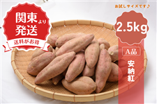関東より発送】種子島産安納芋(紅)2.5kg（2L～M）: JA鹿児島県