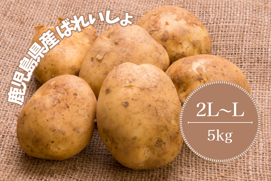 Y@V΂ꂢ5kg