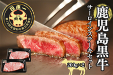 yċx݃X^~izy5zT[CXe[L2 K-105