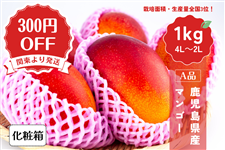 Y}S[ϔy֓蔭z