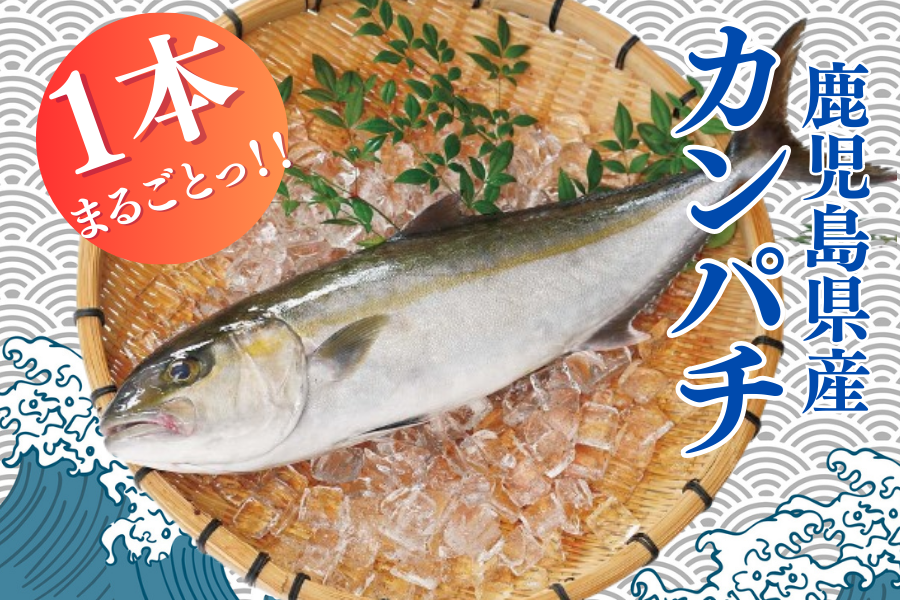 Jp`1{