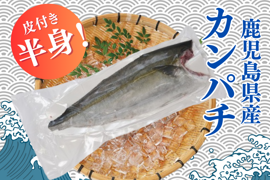 yċx݃X^~izJp`tg