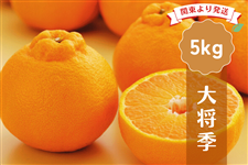 ���������Y�@�叫�G5kg�y�֓���蔭���z