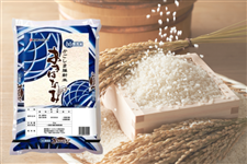  ���������Y�����قȂ�BG�����ĂT�����y�ߘa�V�N�x�Y�āz