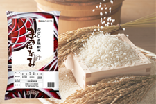 ���������Y�����قȂ݂T�s�y�ߘa�V�N�x�Y�āz