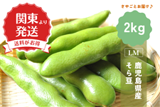 �y����5��OFF�z���������Y�@����܂�2kg�y�֓���蔭���z