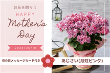 �y��̓��z���������w�����x�s���N