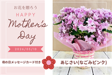 �y��̓��z���������w�Ȃ��݃s���N�x