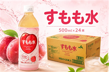 すももさん♡ 100サイズ＋単品購入分 すもも水 500ml×24本: JA鹿児島県経済連 鹿児島の味「ふるさと便
