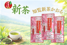 �y�V���z�m���V��������R�{�Z�b�g�y�����p�z���\�񏤕i