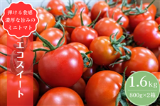 �e����H���E�Z���Ȏ|���̃~�j�g�}�g�u�G�R�X�C�[�g�v1.6����