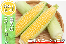 ����̃X�C�[�g�R�[���u�T�j�[�V���R���v��5kg�y���ʌ���100�z