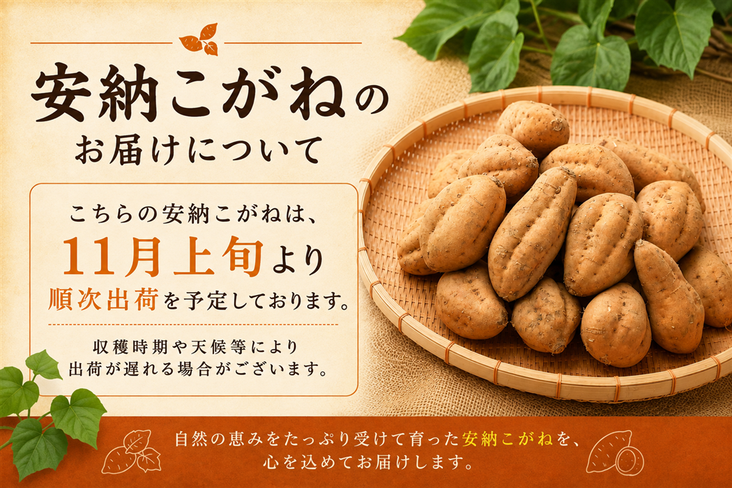 種子島産安納こがね3kg: JA鹿児島県経済連 鹿児島の味「ふるさと便