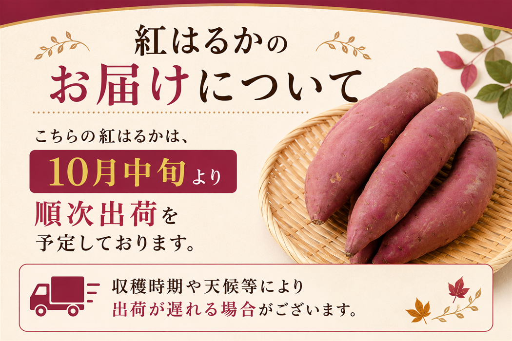 鹿児島県産紅はるか5kg: JA鹿児島県経済連 鹿児島の味「ふるさと便