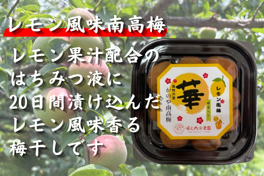 かのや南高梅 梅干しバラエティ6パックセット: JA鹿児島県経済連