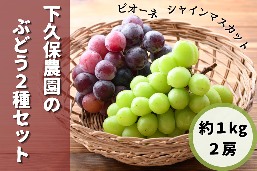 下久保農園のぶどう2種食べ比べセット約1kg（シャインマスカット