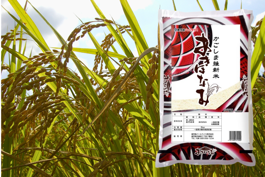 あきほなみ「吟地米」6kg／鹿児島県産オリジナル品種【令和7年度産