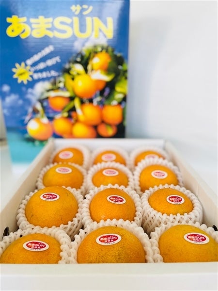 【12月10日頃より発送】あまSUN 2kg箱
