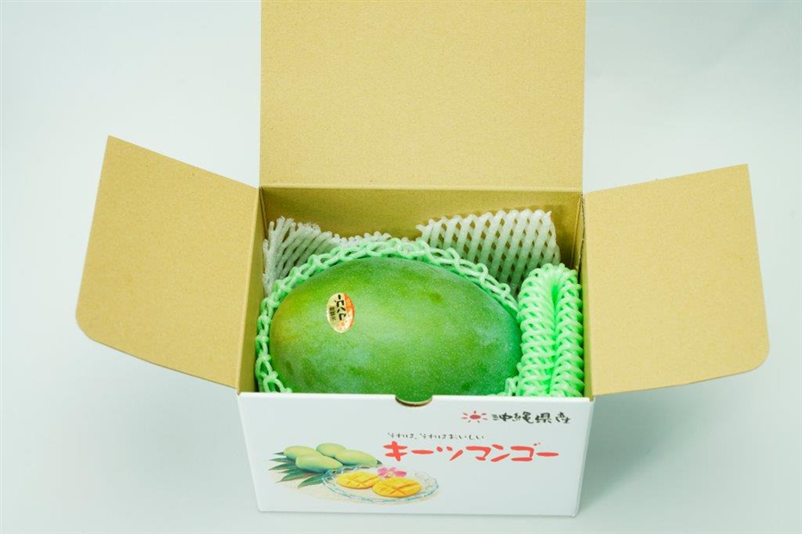 沖縄県産キーツマンゴー 1玉【2026年】: おきなわ ちゅら島|【JA