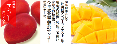 2023年コンテスト受賞】 うるま市 高江篤史さん こだわりの沖縄