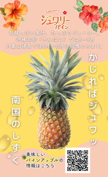 yzYW[pCinCj2ʁAkTCY