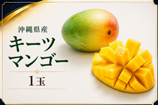  ���ꌧ�Y�L�[�c�}���S�[ 1�ʁy2026�N�z
