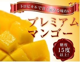 xۏ؁   ꌧYv~A}S[2 6t