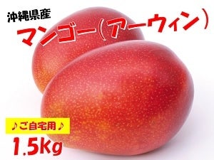 沖縄県産マンゴー（アーウィン）♪ご自宅用♪ 7月受付