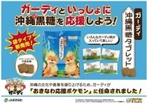 �K�[�f�B���ꍕ���^�u���b�g�i�܁j38g×30��