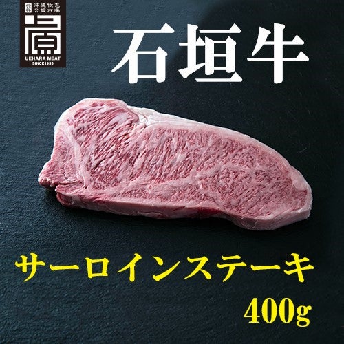 Ί_T[CXe[L400i200g×2j