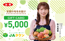 �H���^��5,000�i�i�`�^�E���M�t�g�J�[�h�j
