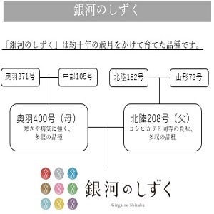 精米 岩手県産 銀河のしずく 5kg 令和6年産: 全国おいしいお米 精米 岩手県産 銀河のしずく 5kg 令和6年産: 全国おいしいお米