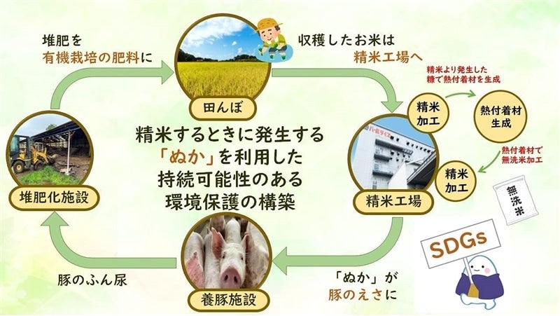 無洗米 北海道産 ななつぼし 5kg 令和4年産: 全国おいしいお米 無洗米 北海道産 ななつぼし 5kg 令和4年産: 全国おいしいお米