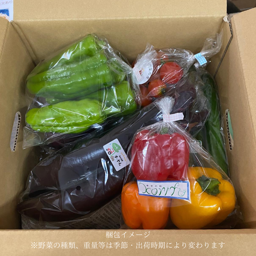 お中元】 たべとうみん旬菜ボックスCセット（季節の野菜、卵7個+割れ