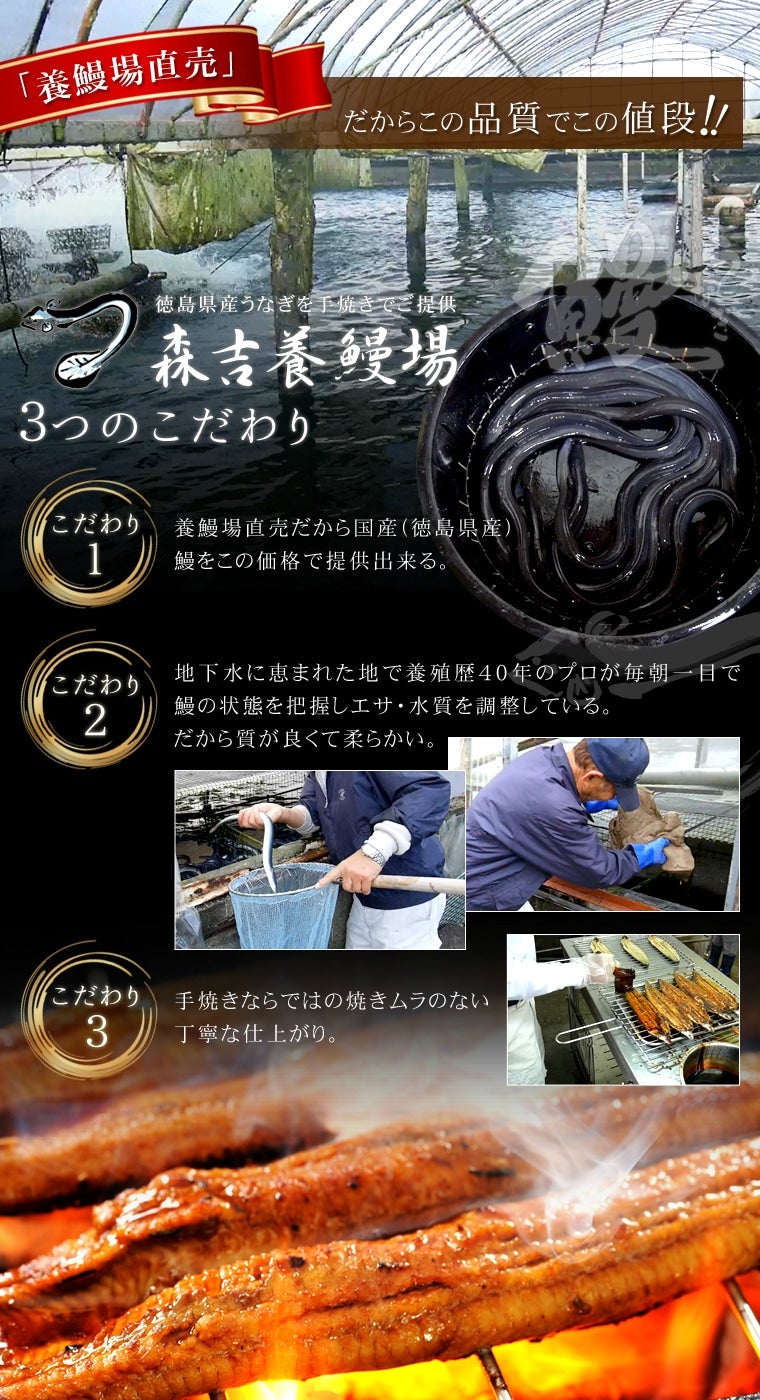 徳島県産うなぎ 白焼き3尾セット