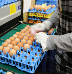 【お歳暮】 夢の卵かけセット卵32個(M/L)&たまごかけ醤油