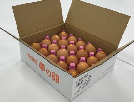 �y���̓��z ���̗�40�iL/LL/LLL�j