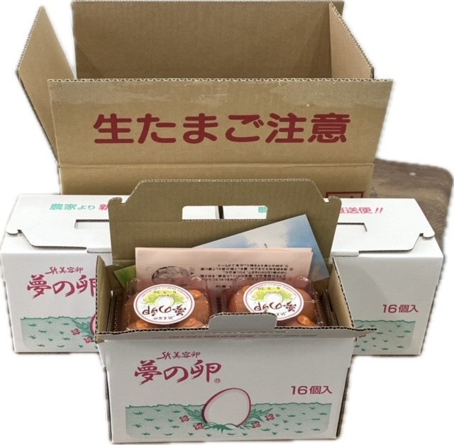 【クール便！】夢の卵・小分け手持ち箱セット卵48個（M16個×3箱）