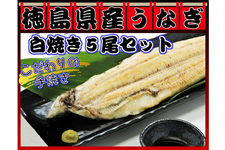 徳島県産うなぎ 白焼き5尾セット