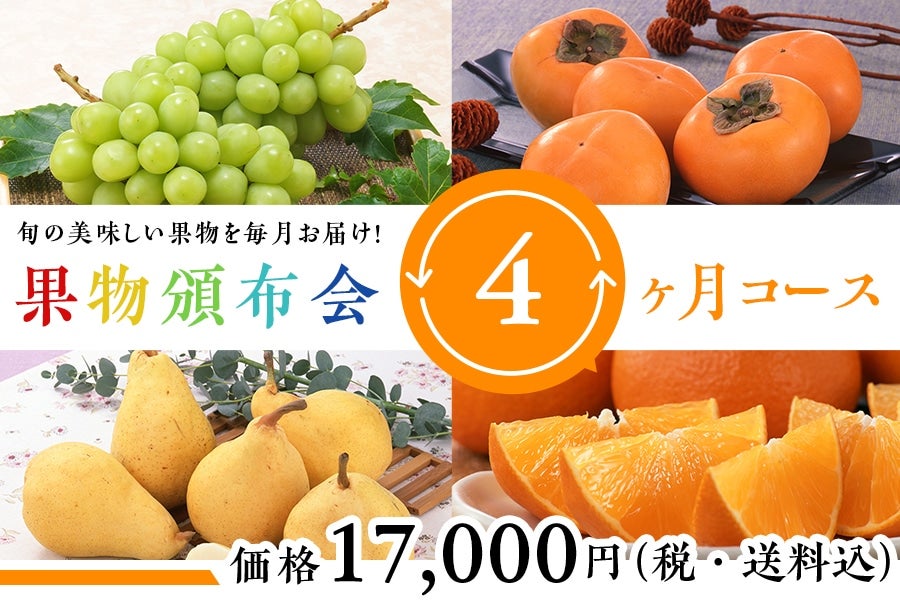 【旬の美味しい果物を毎月お届け！】果物頒布会　4ヶ月コース