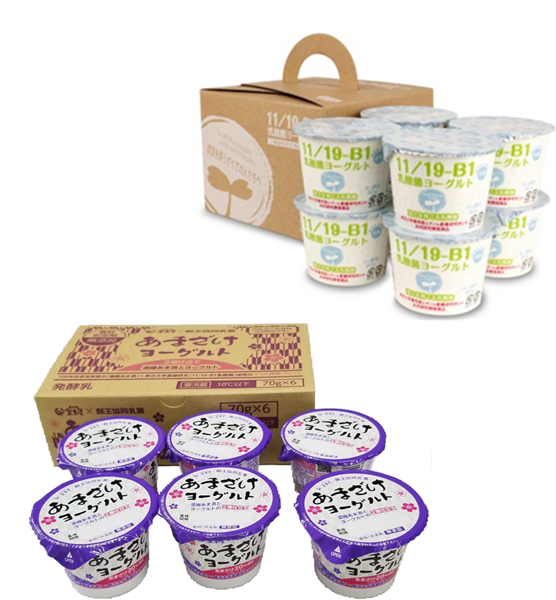 11-1 乳酸菌いちいちのいち10箱