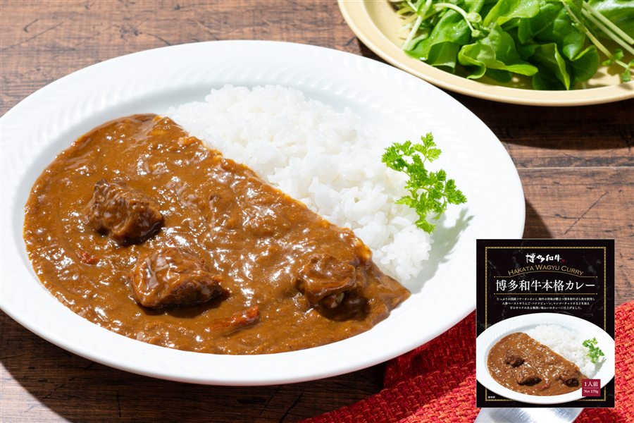 【送料込み】博多和牛本格カレー170g×5個セット