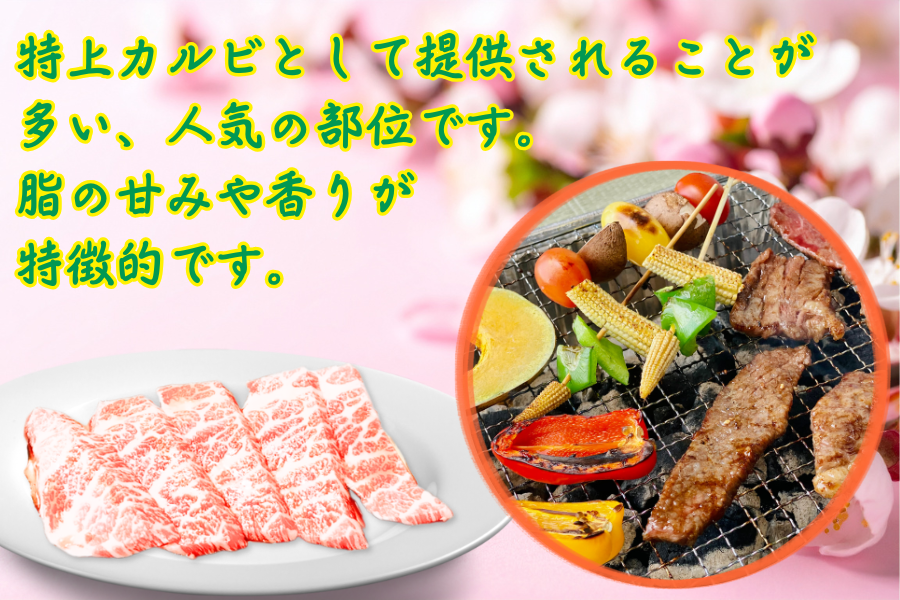 【業務用】和牛/黒毛和牛(冷凍)サンカクバラ1.6kg