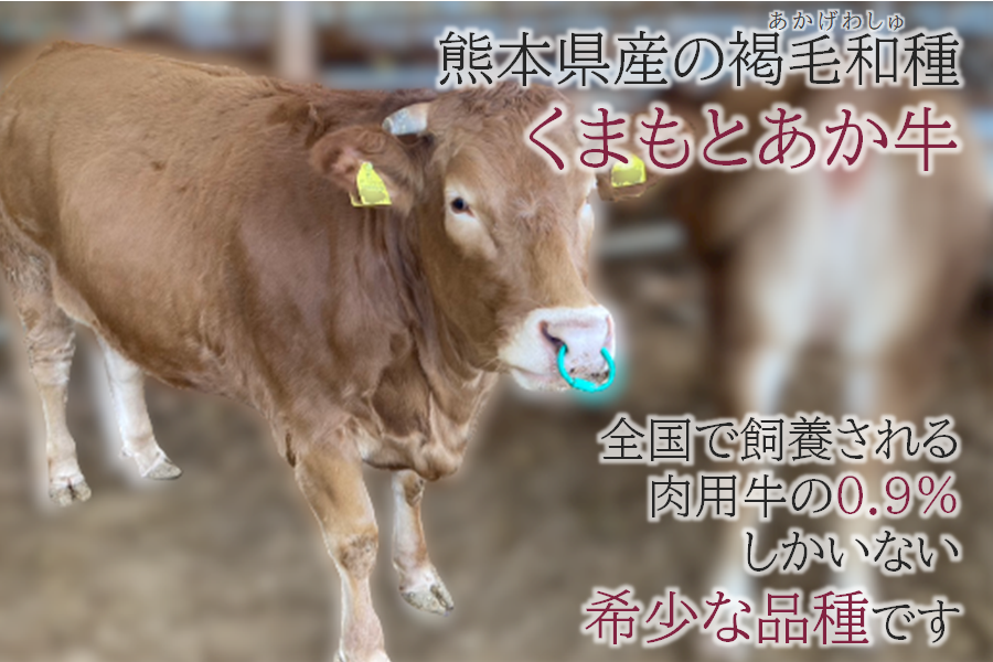 【お中元】くまもとあか牛肩ロースすき焼き250g×4パック(送料込み)