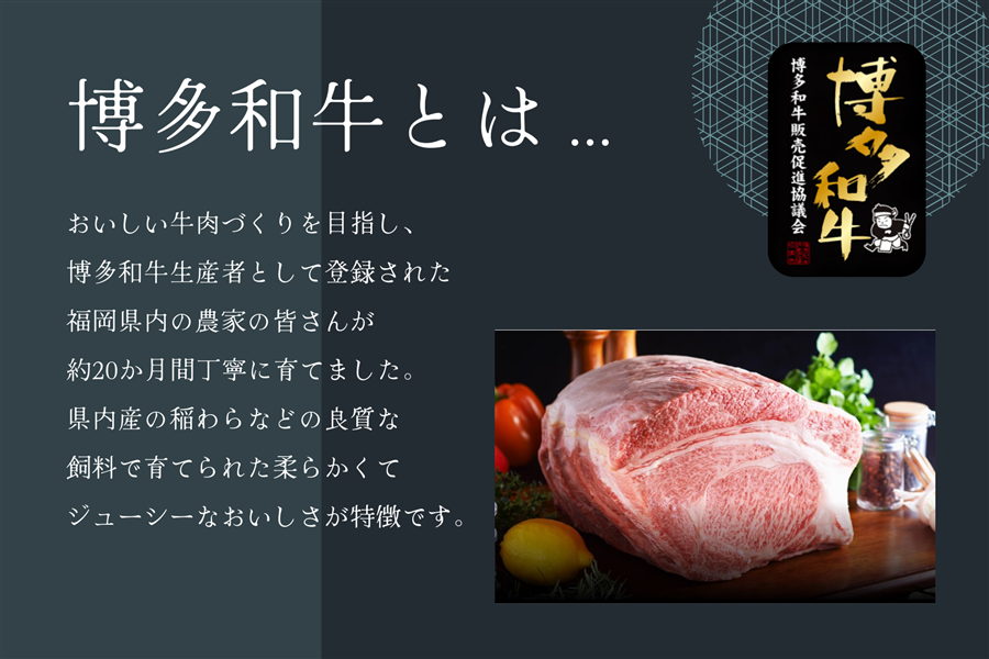【送料込み】博多和牛本格カレー170g×5個セット