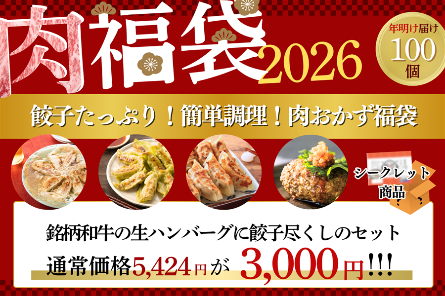 ●肉福袋●餃子たっぷり!簡単調理!肉おかず福袋(年明け発送)