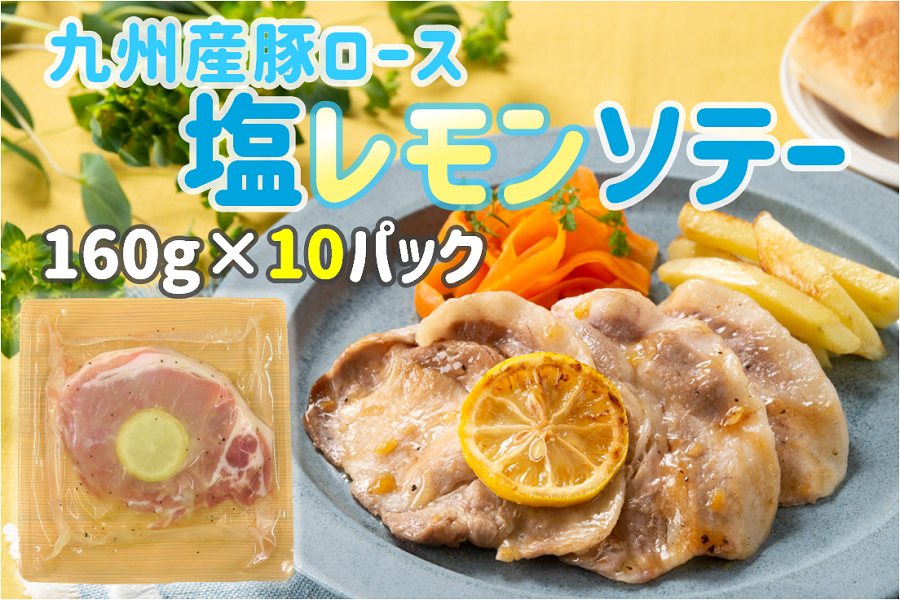 【ご家庭用】九州産豚肉使用　塩レモンソテー160g×10パックセット
