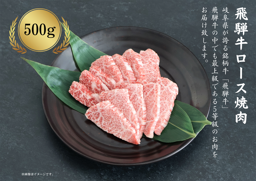 【化粧箱入り】飛騨牛ロース焼肉500g(250g×2)