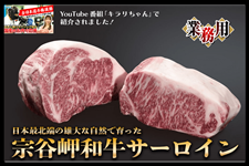 �y�Ɩ��p�z�@�J���a�� �T�[���C��