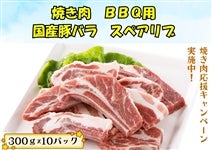 �y�Ă����@BBQ�p�z���Y�؃o���X�y�A���u�@300g×10�p�b�N��e�ʃZ�b�g